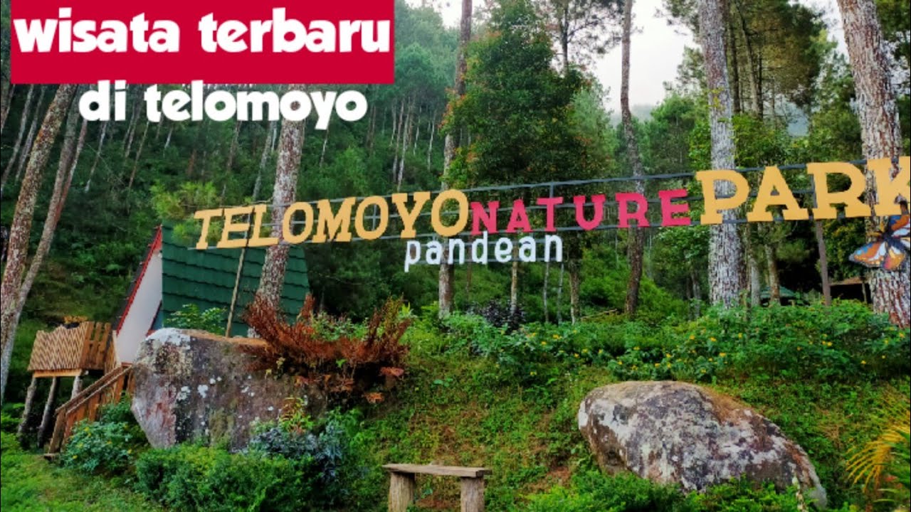 Telomoyo Nature Park: Menikmati Pesona Alam Jawa Tengah